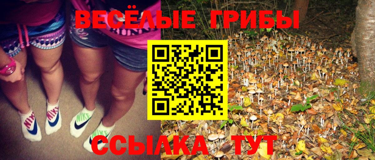 Коряжма  Псилоцибиновые грибы Psilocybe  Вход с VPN  Галлюциногенные грибы мицелий 